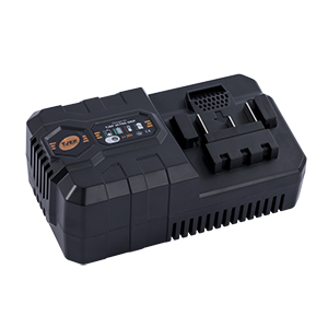 TJEP battery charger
